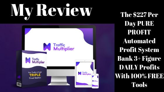 traffic multiplier review 2019
